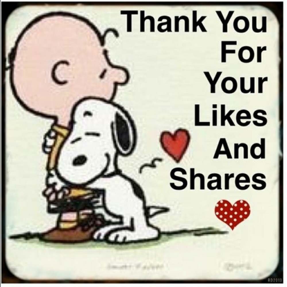 Just wanted to say thank you all for sharing!!